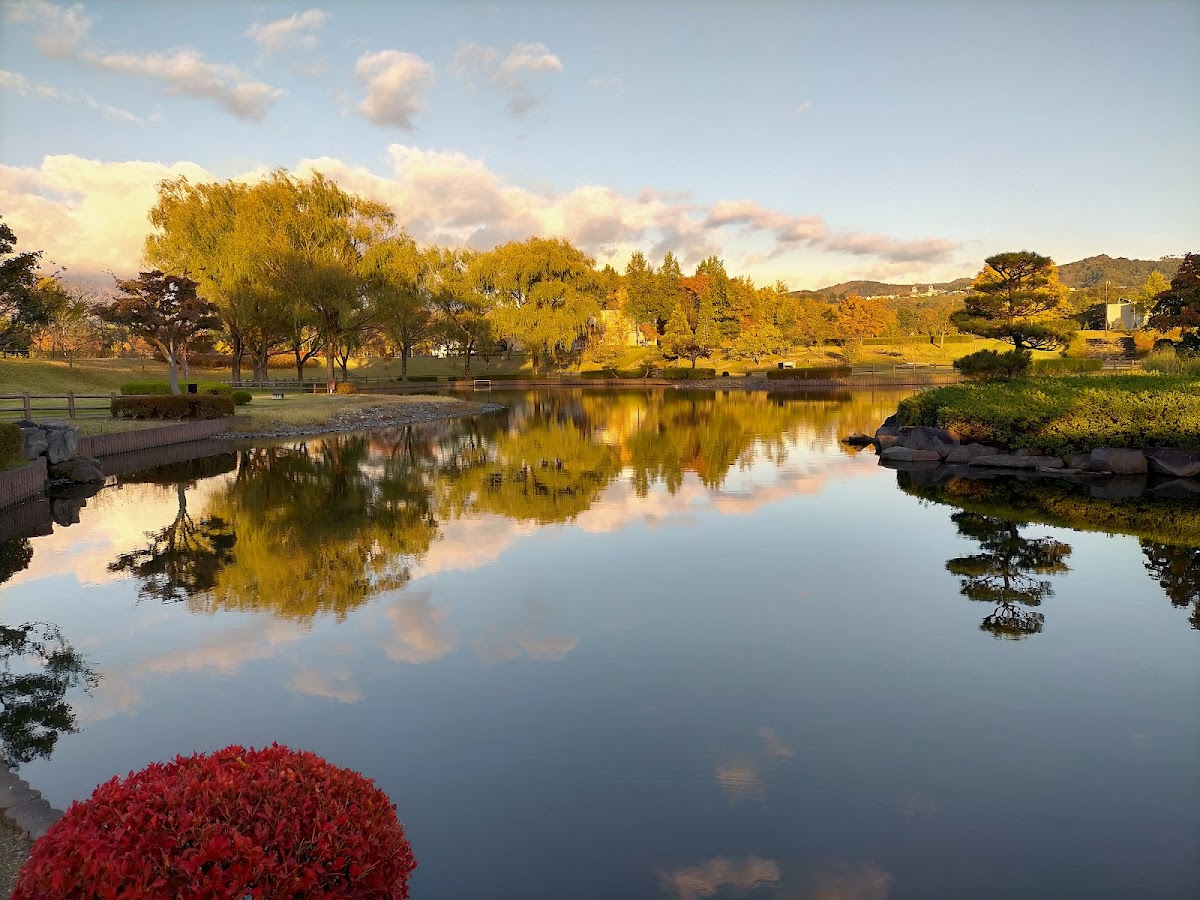 University of Aizu photo 5