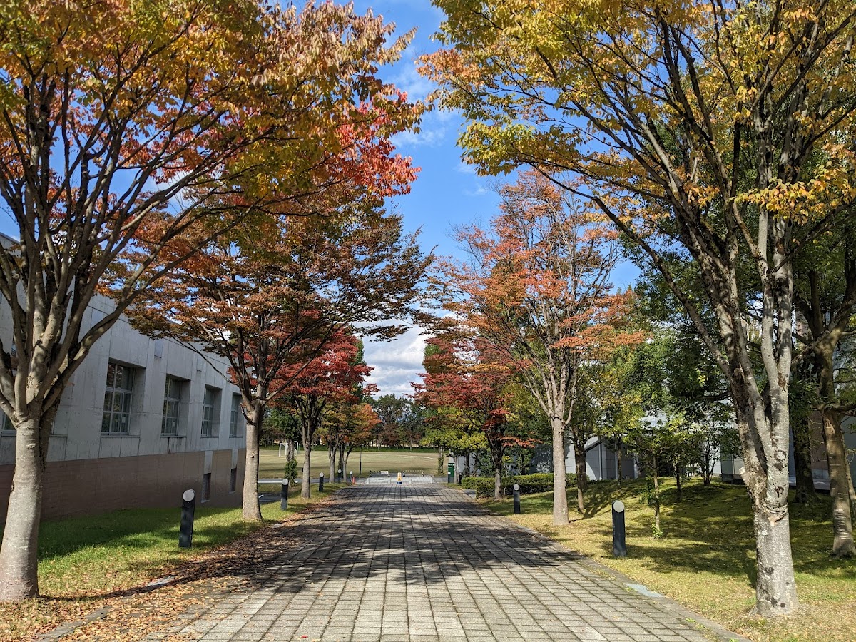 University of Aizu photo 8