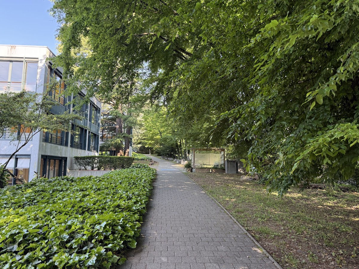 Webster University Geneva photo 4