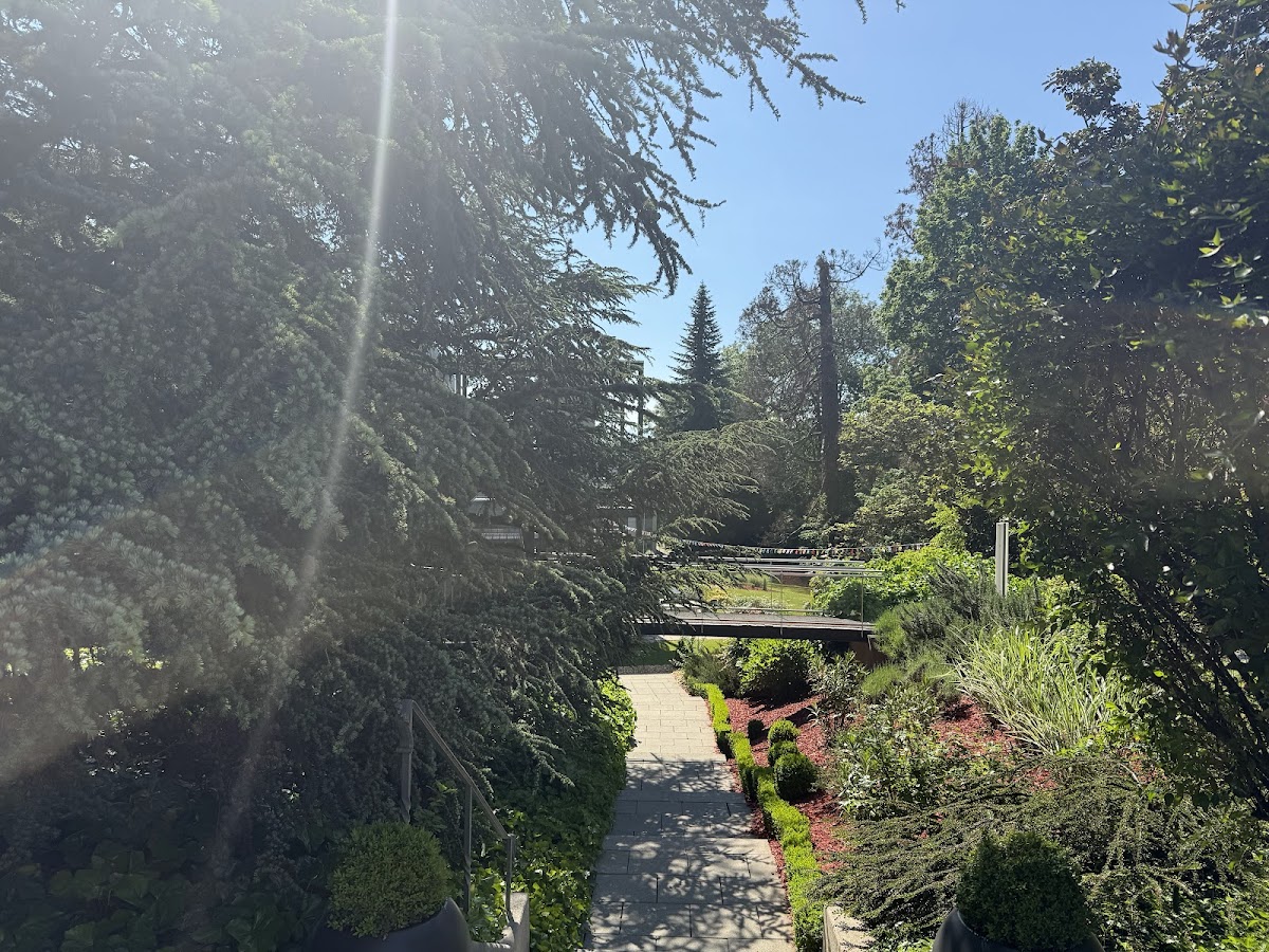 Webster University Geneva photo 6