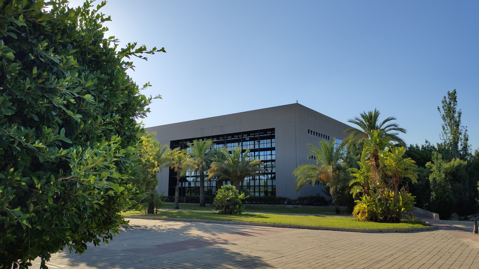 University of Miguel Hernandez