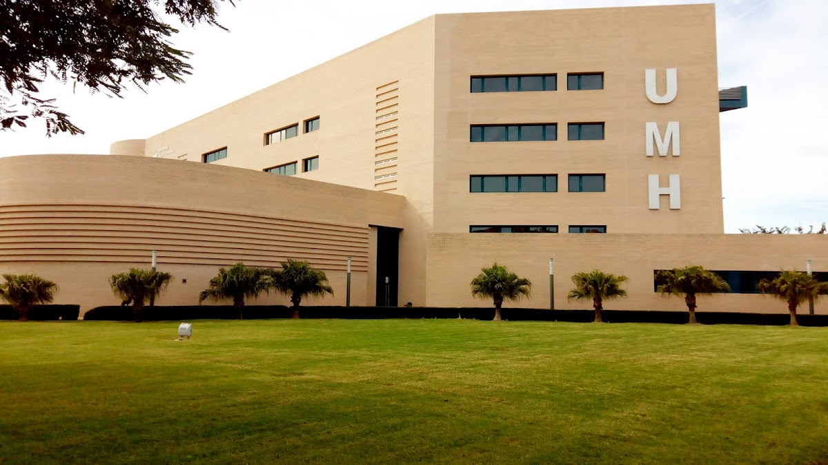 University of Miguel Hernandez photo 1