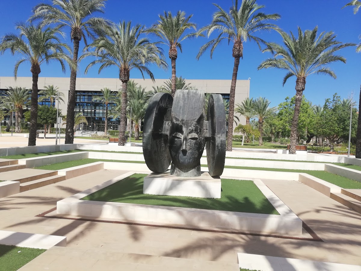 University of Miguel Hernandez photo 3