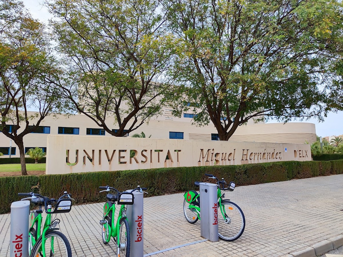 University of Miguel Hernandez photo 7