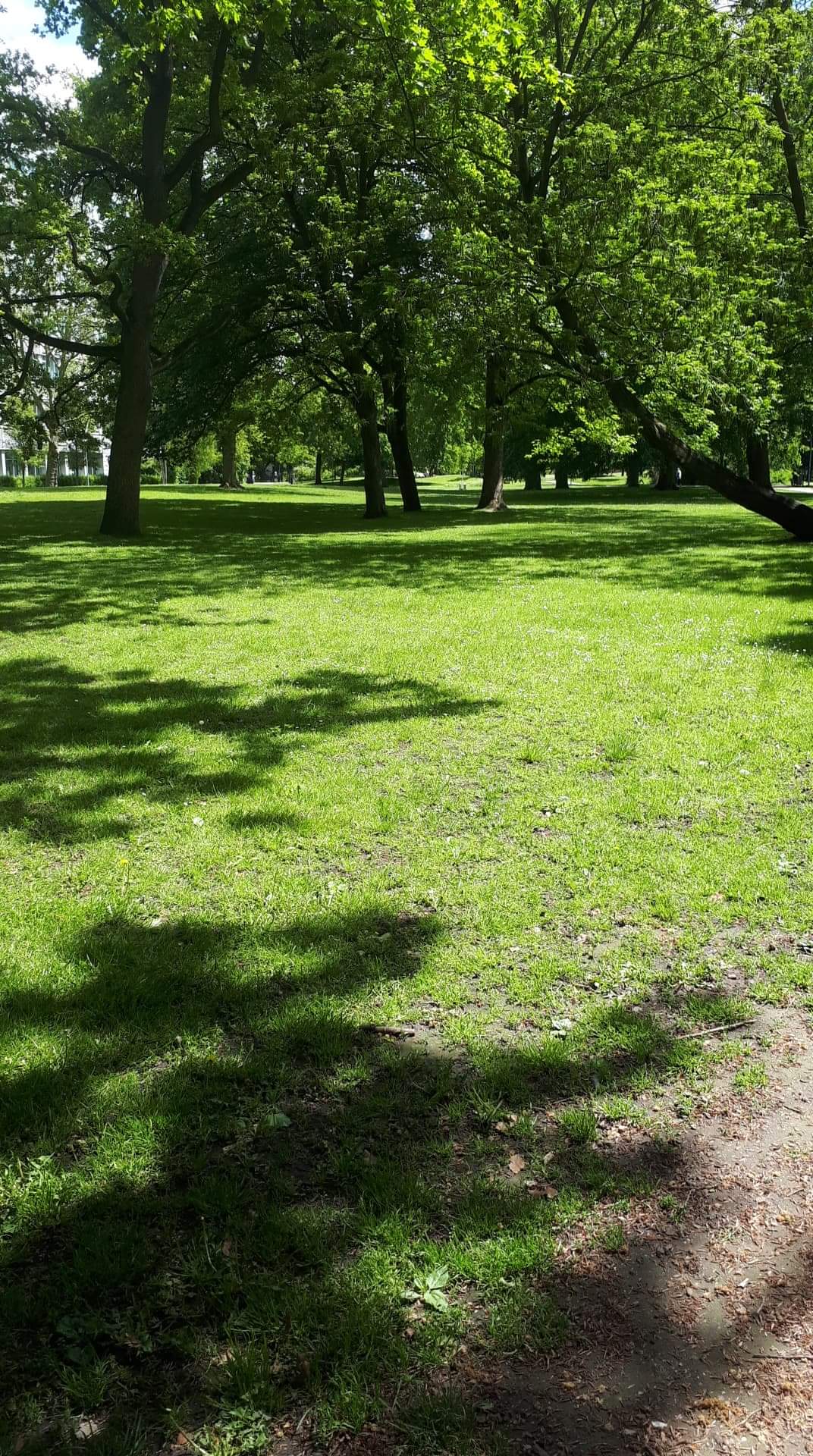 Hochschule Bremen photo 9