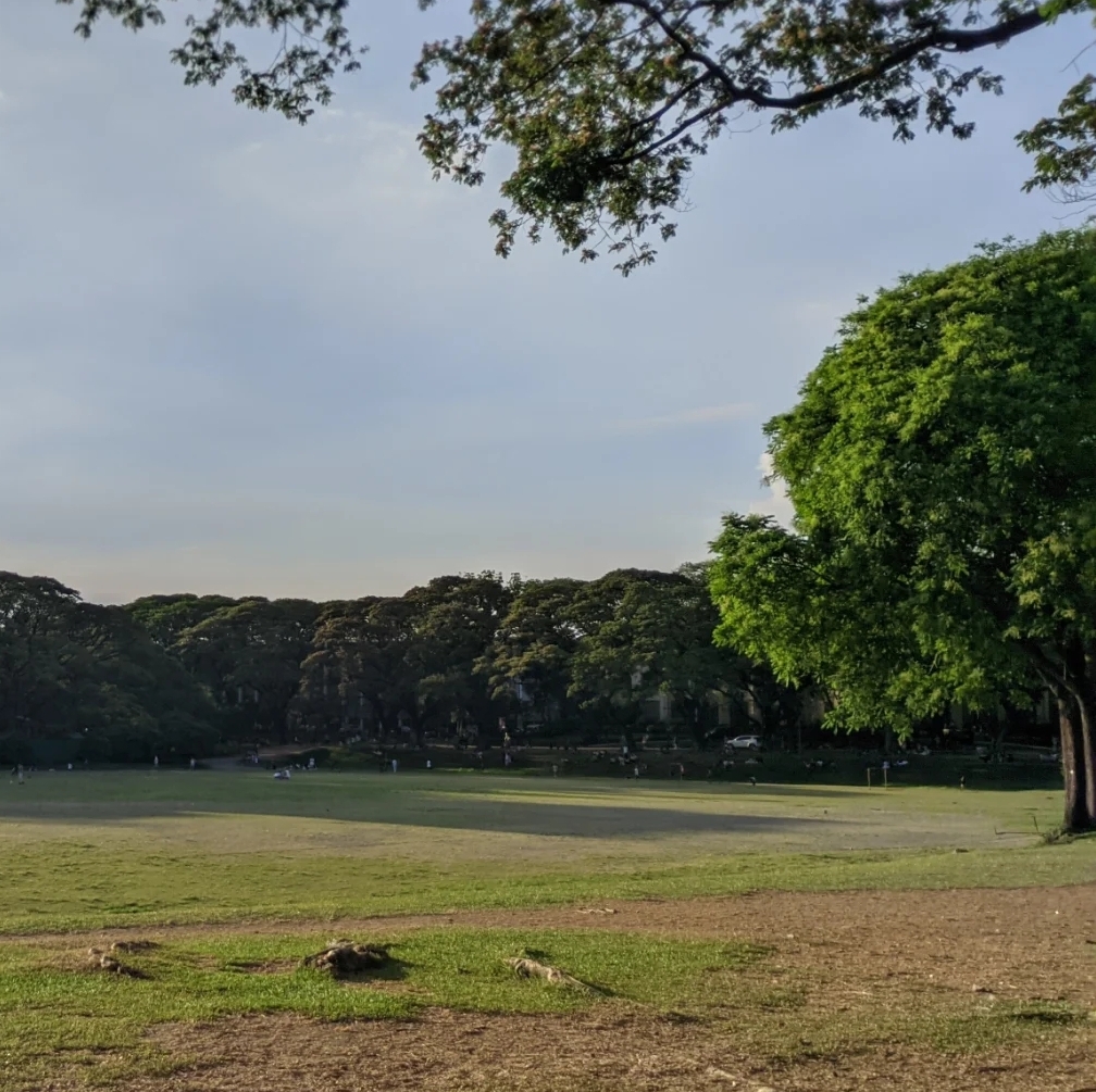 University of the Philippines Diliman photo 6