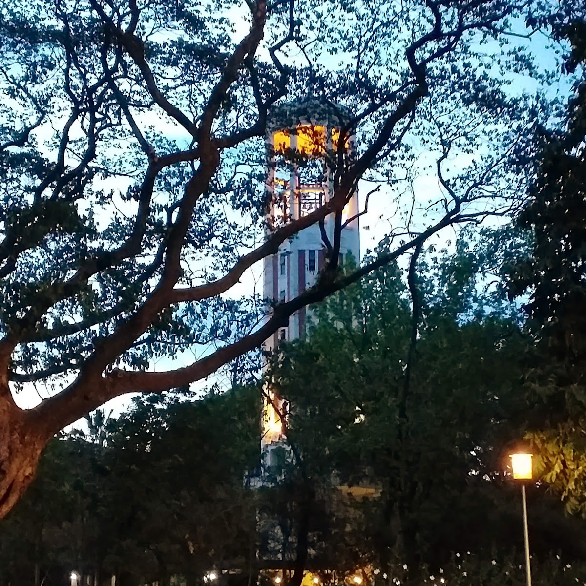 University of the Philippines Diliman photo 7