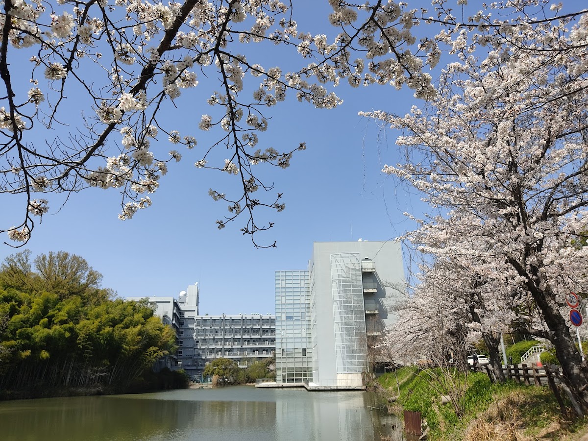 Osaka University photo 7