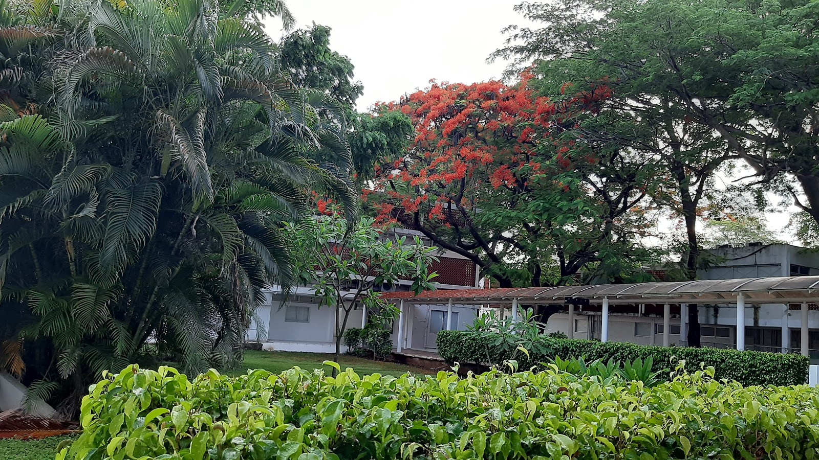 Autonomous University of Campeche