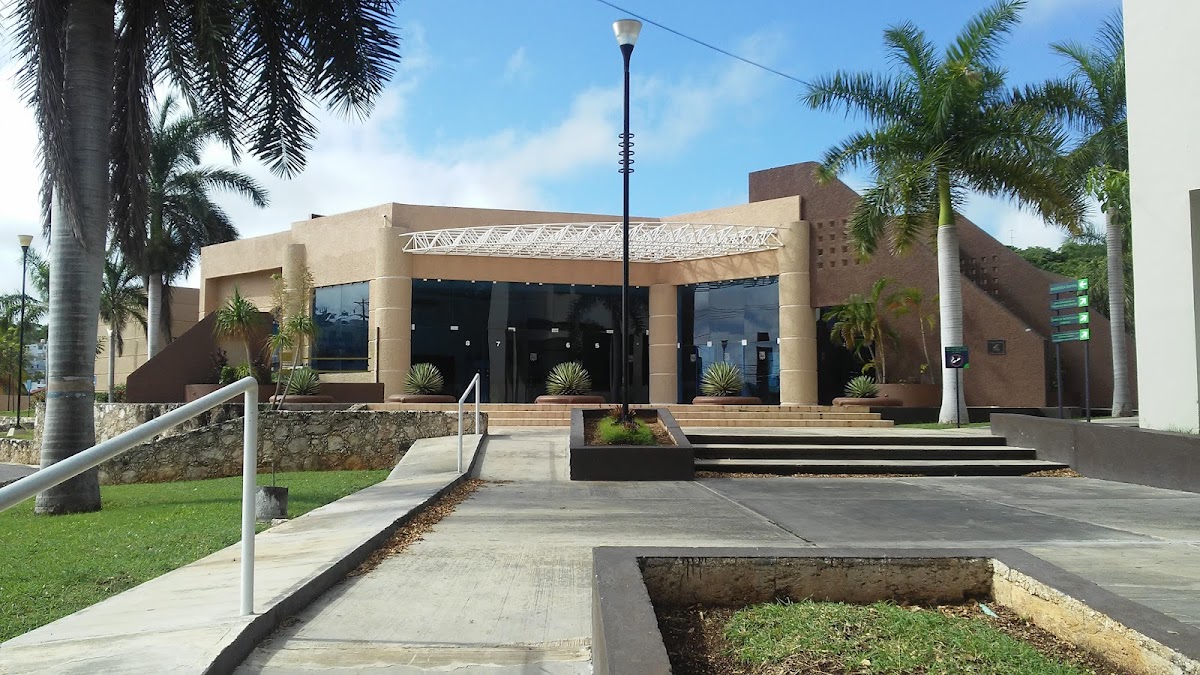 Autonomous University of Campeche photo 4