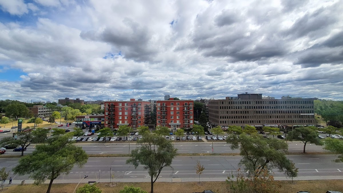 Collège Bois-de-Boulogne photo 2