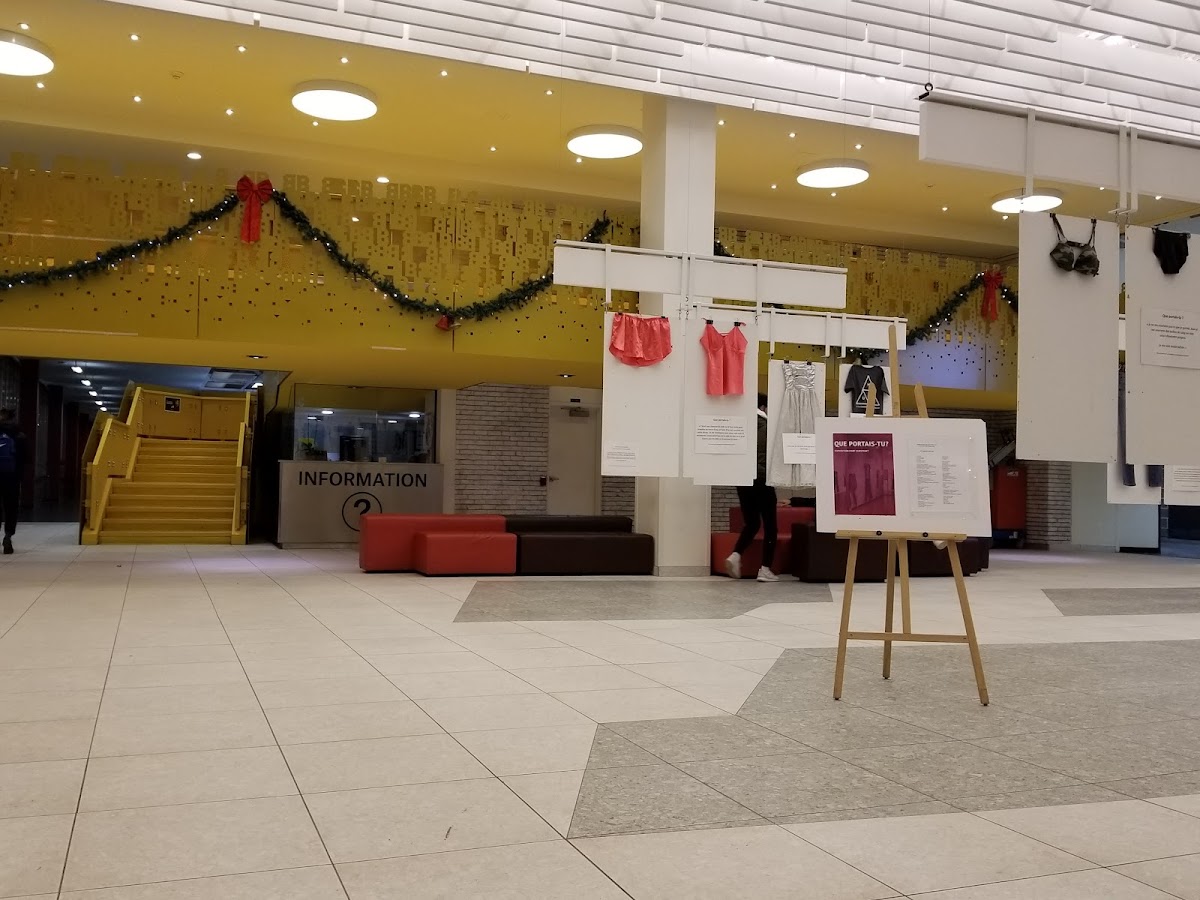 Collège Bois-de-Boulogne photo 7