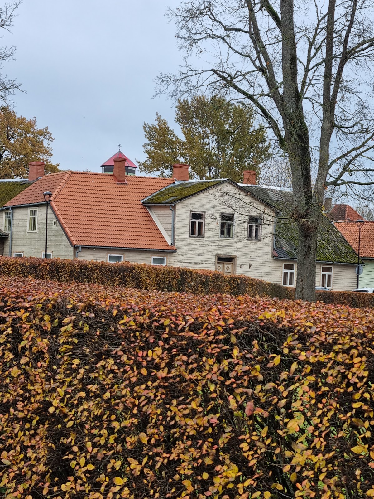 Viljandi Culture Academy of the University of Tartu photo 6