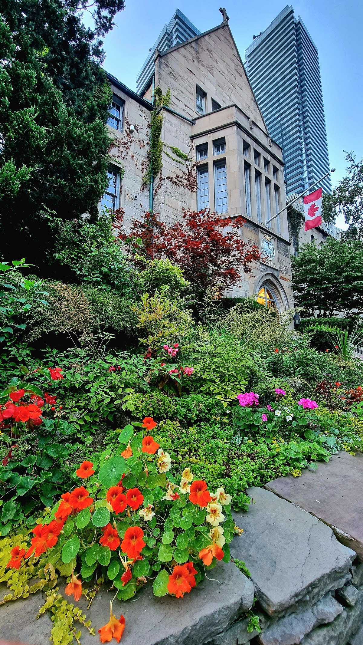 Victoria University photo 9