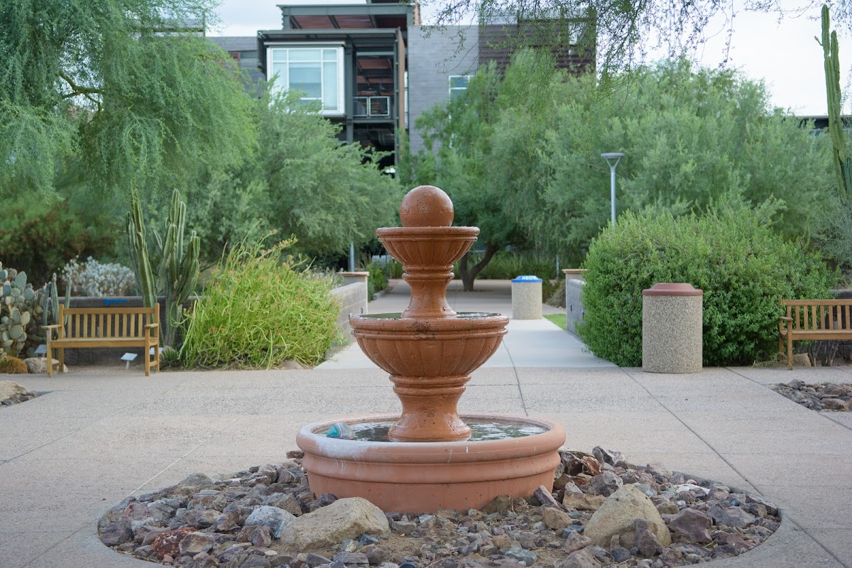 Arizona State University Polytechnic photo 1