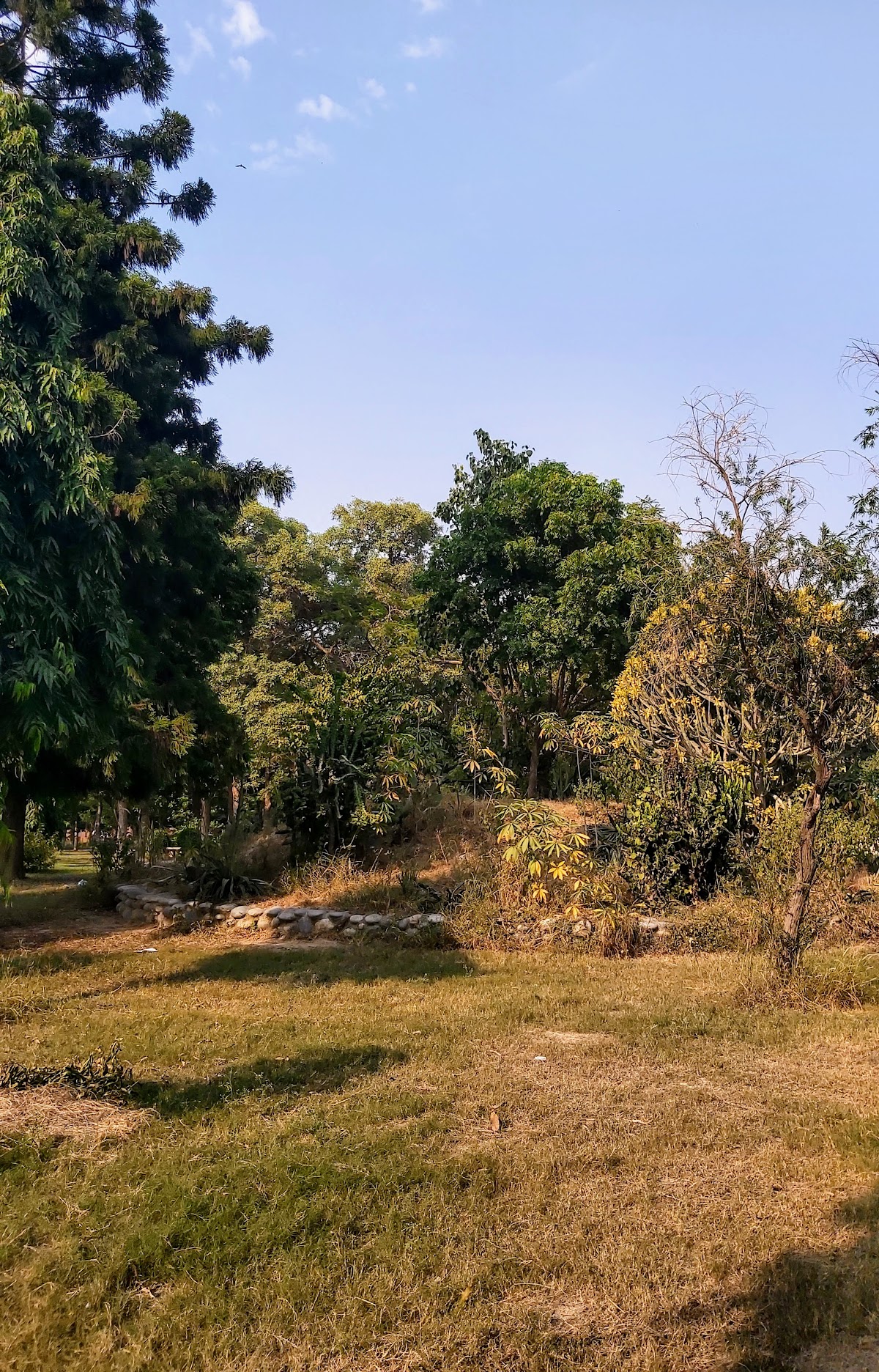 Guru Nanak Dev University photo 8