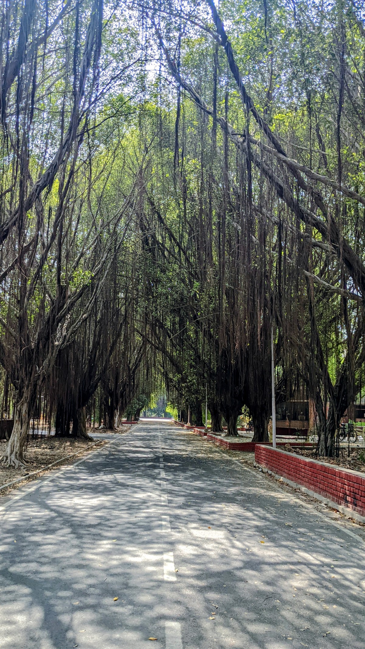 Guru Nanak Dev University photo 9