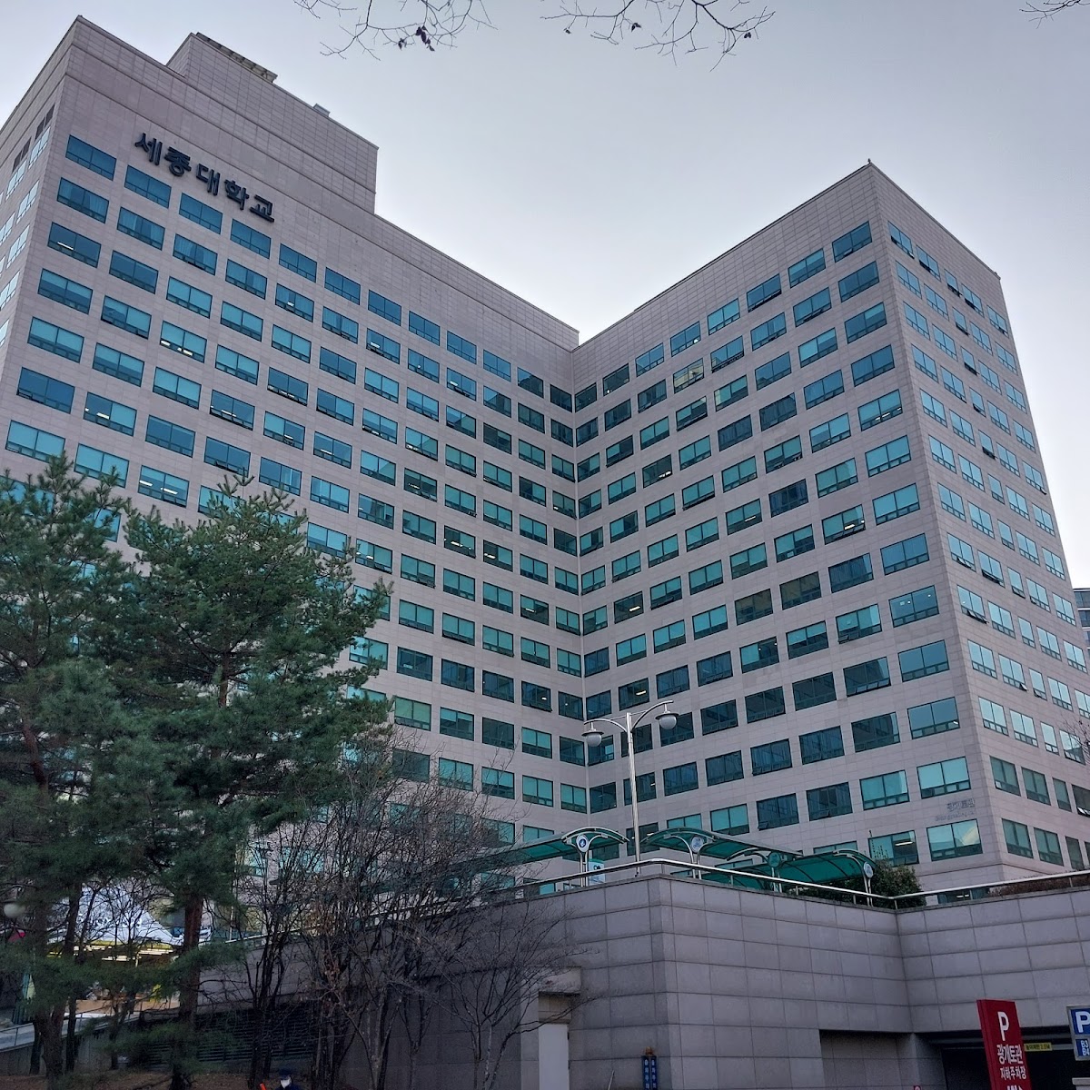 Sejong University photo 8