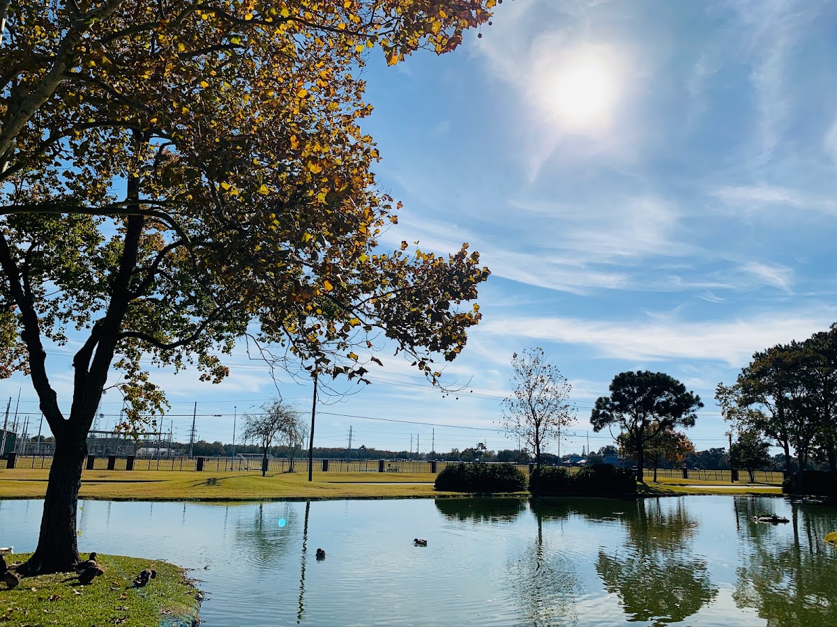 Lamar University photo 8