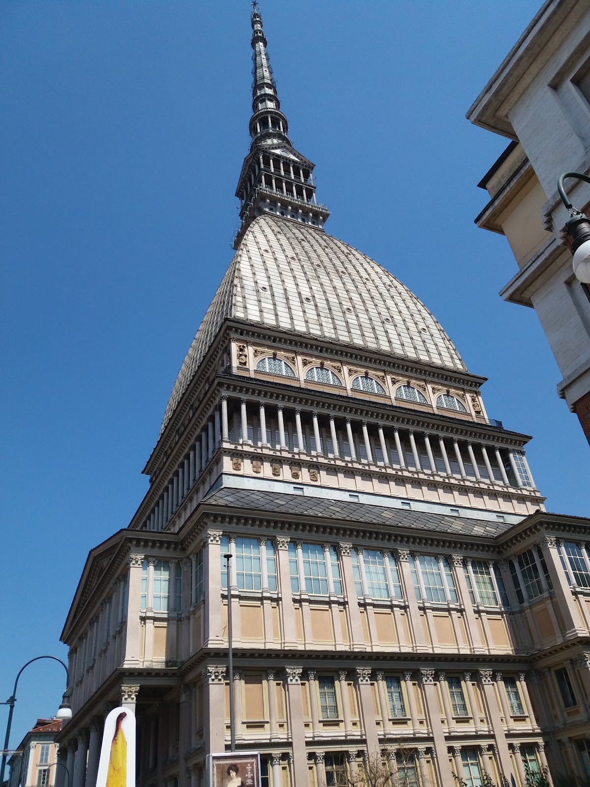 University of Turin photo 9