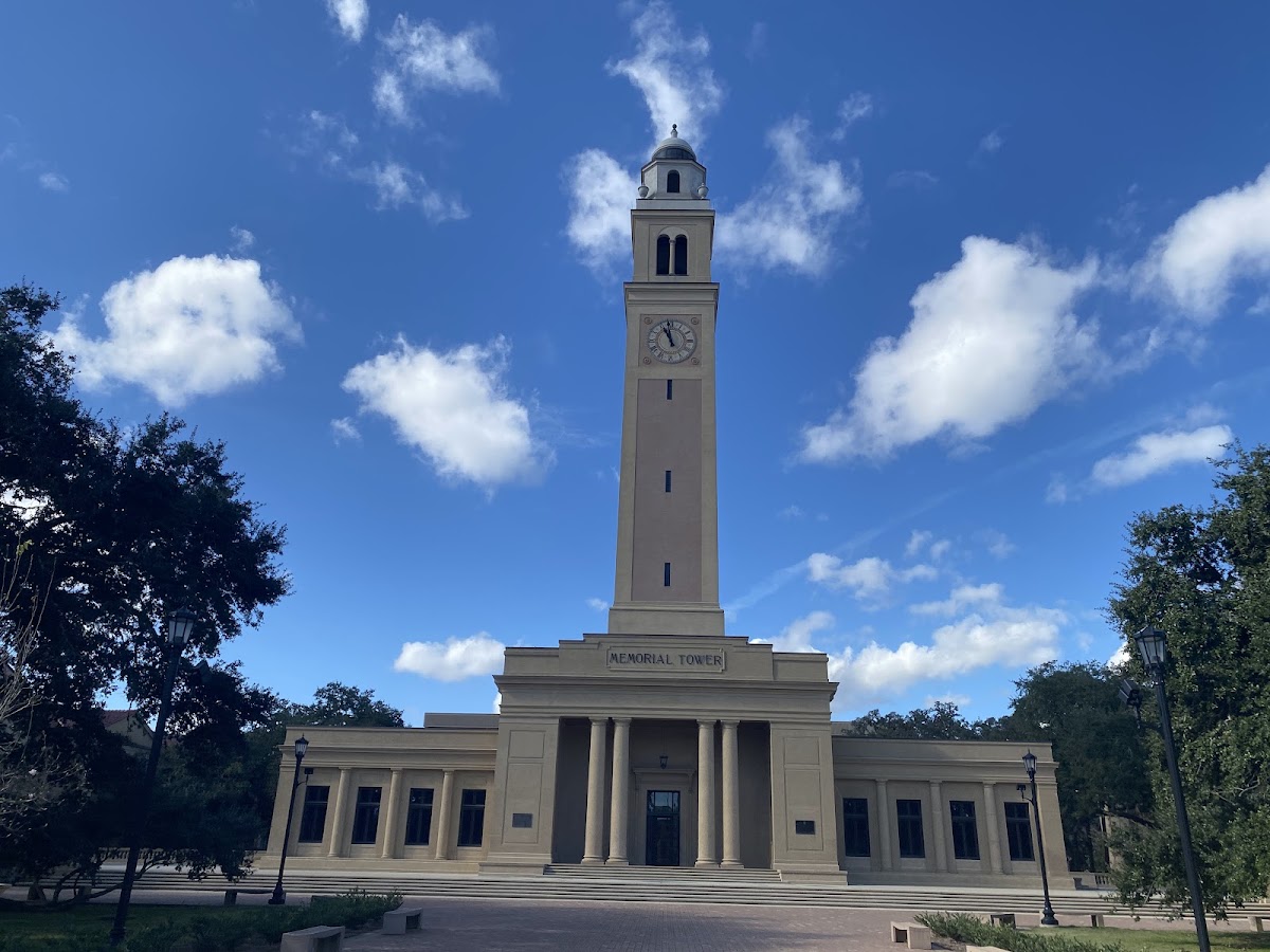 LSU photo 4