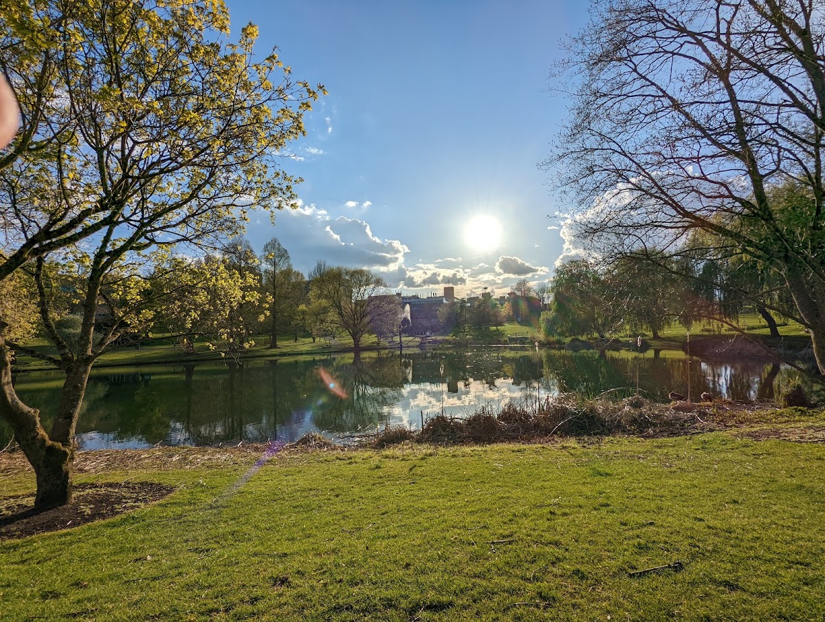 University of Surrey photo 5