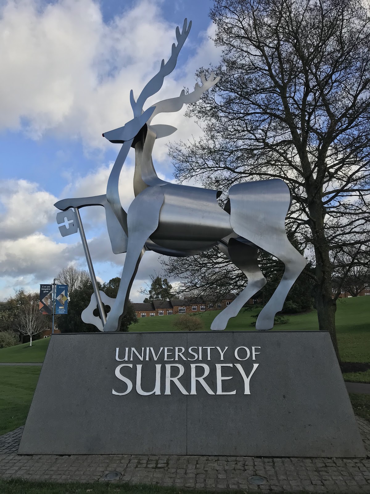 University of Surrey photo 6