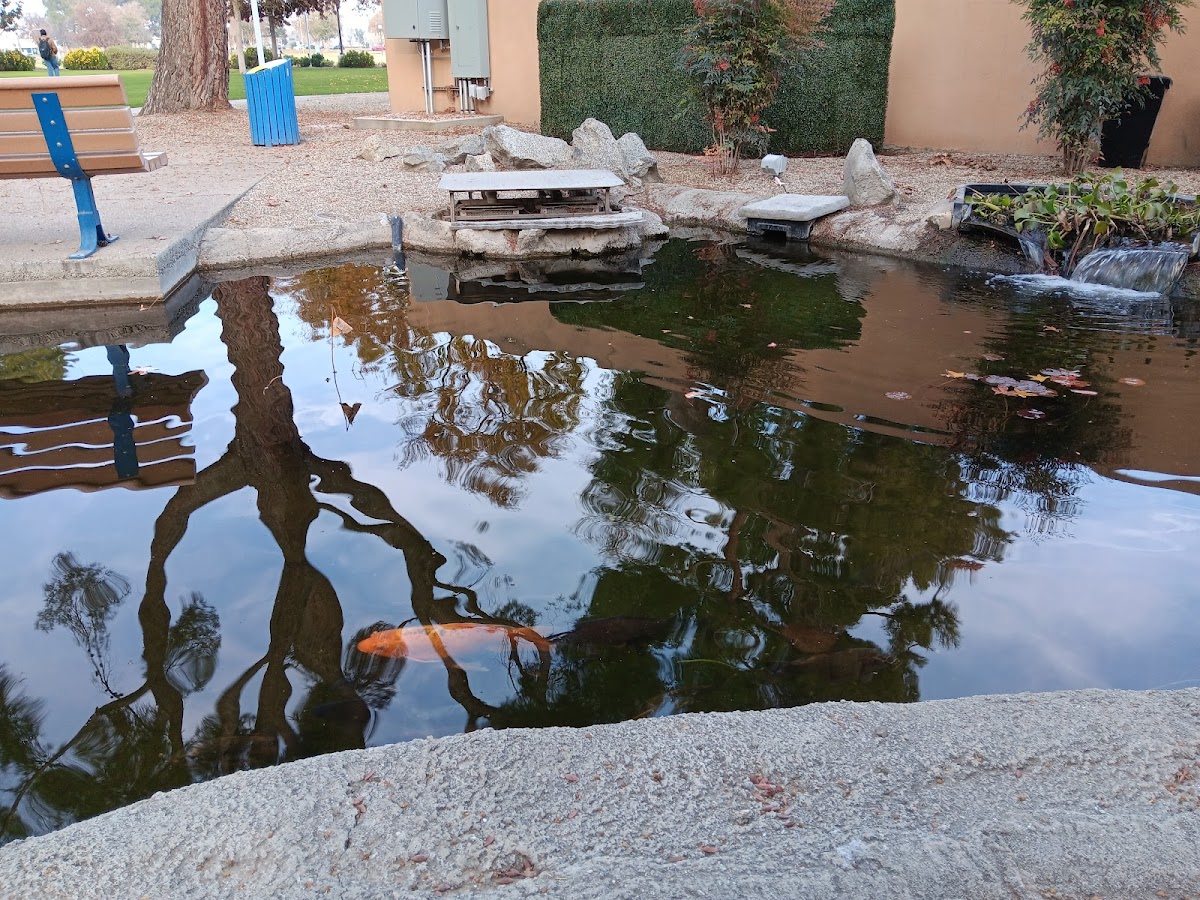 UC Bakersfield photo 3