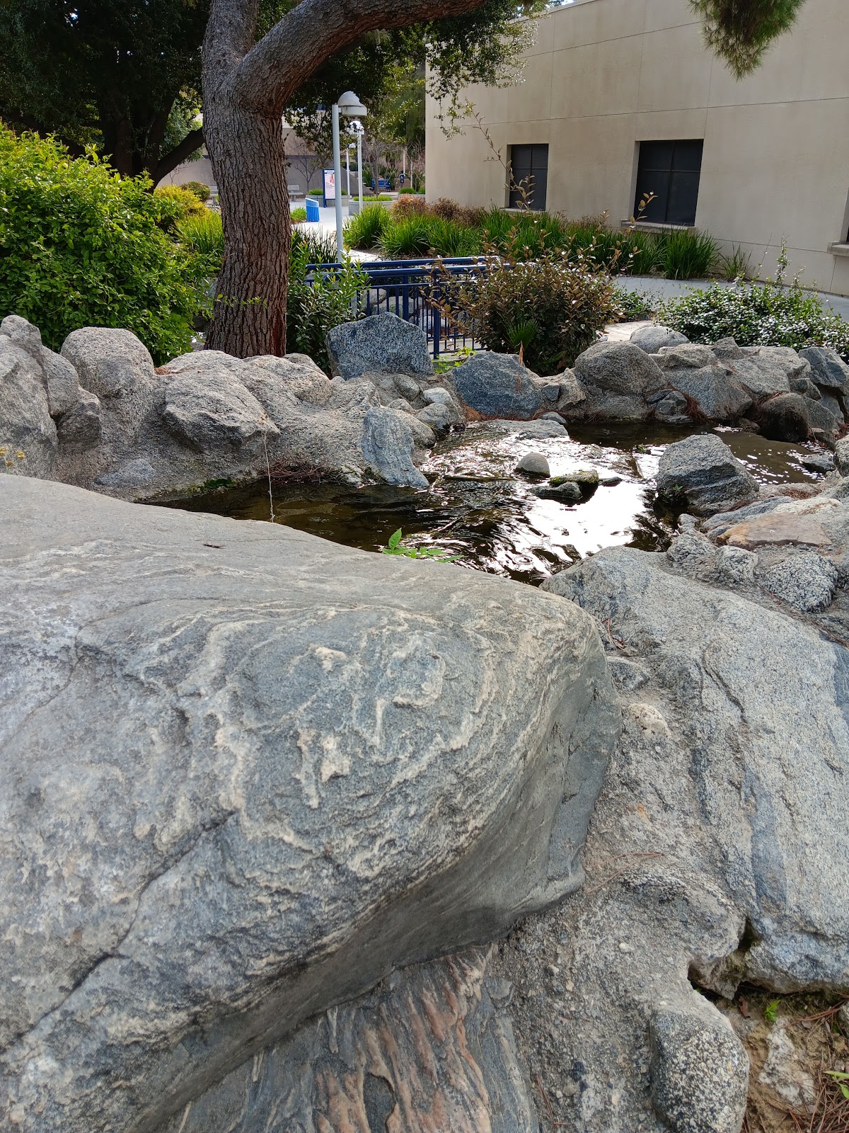 UC Bakersfield photo 6