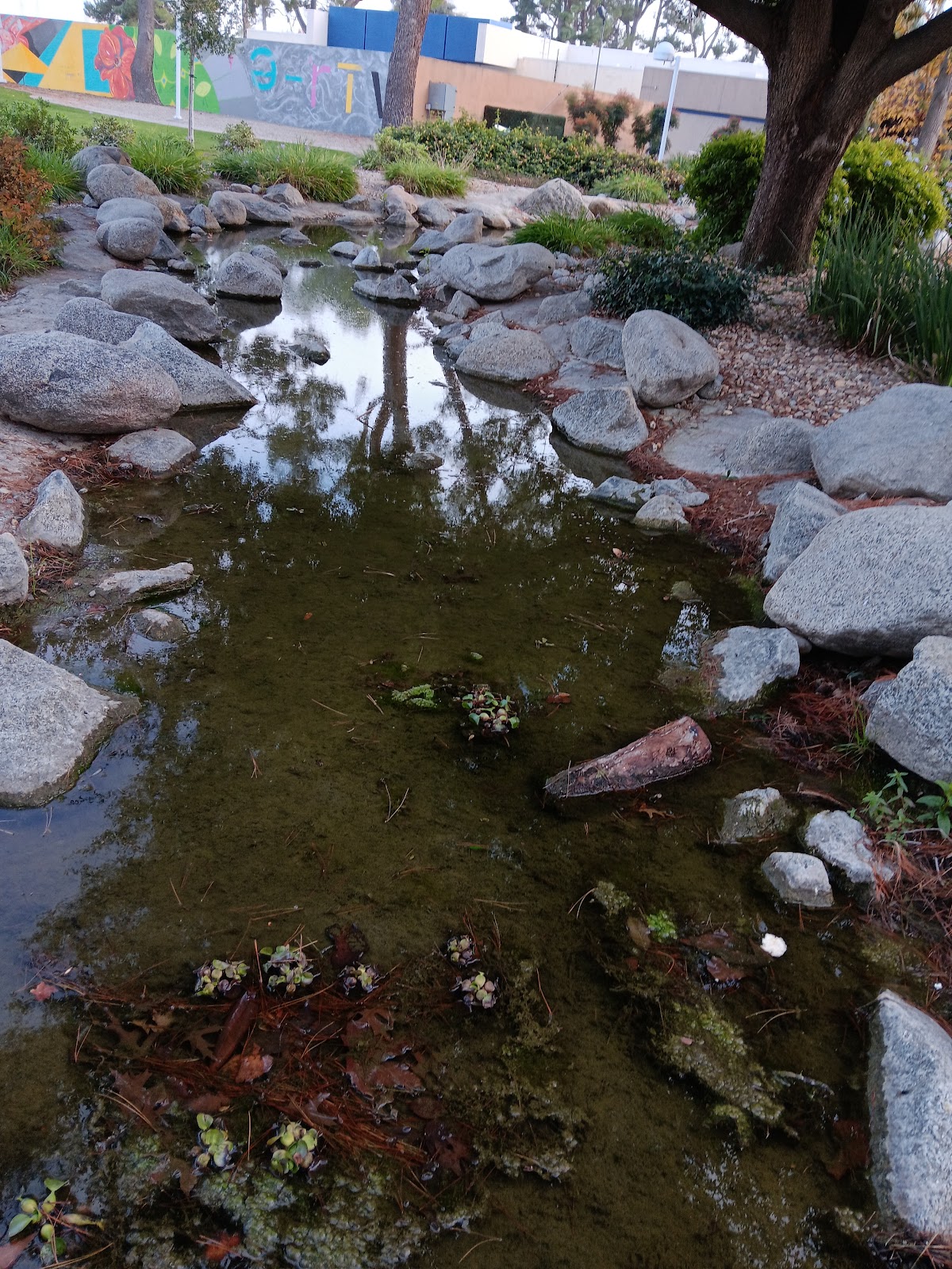 UC Bakersfield photo 7