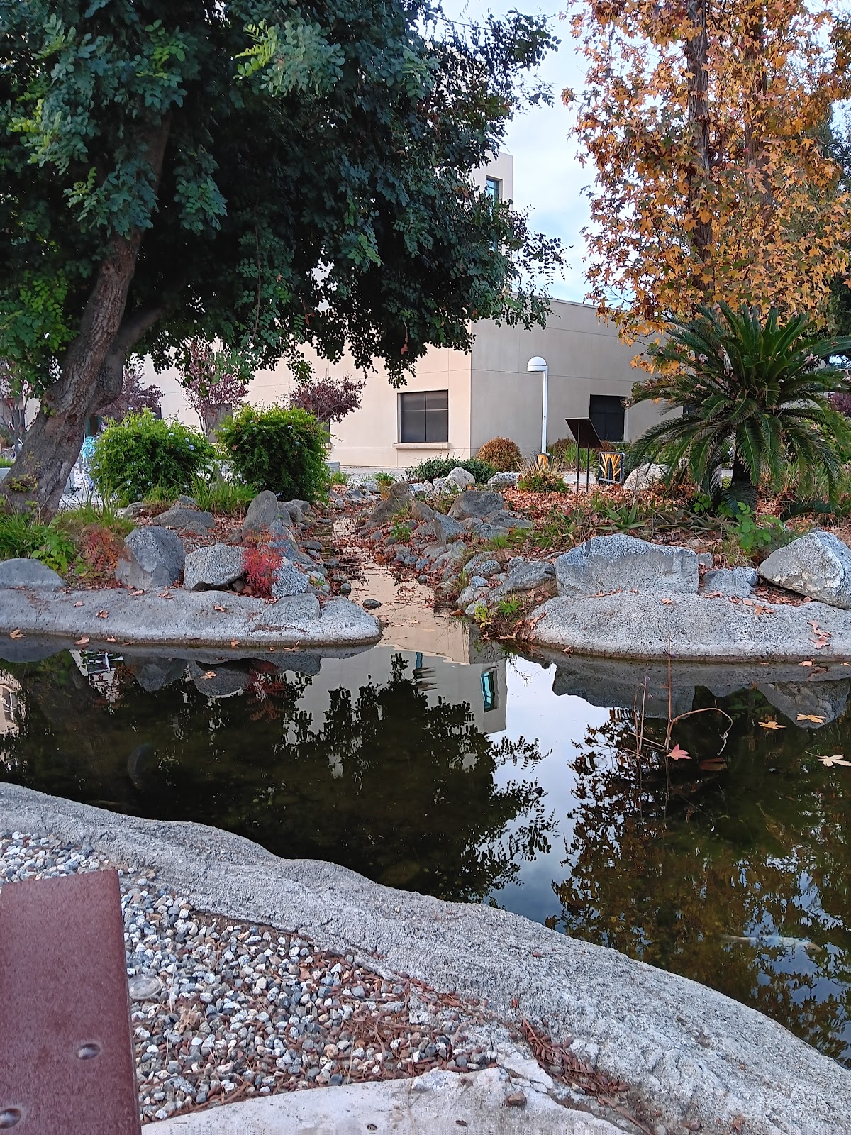 UC Bakersfield photo 8