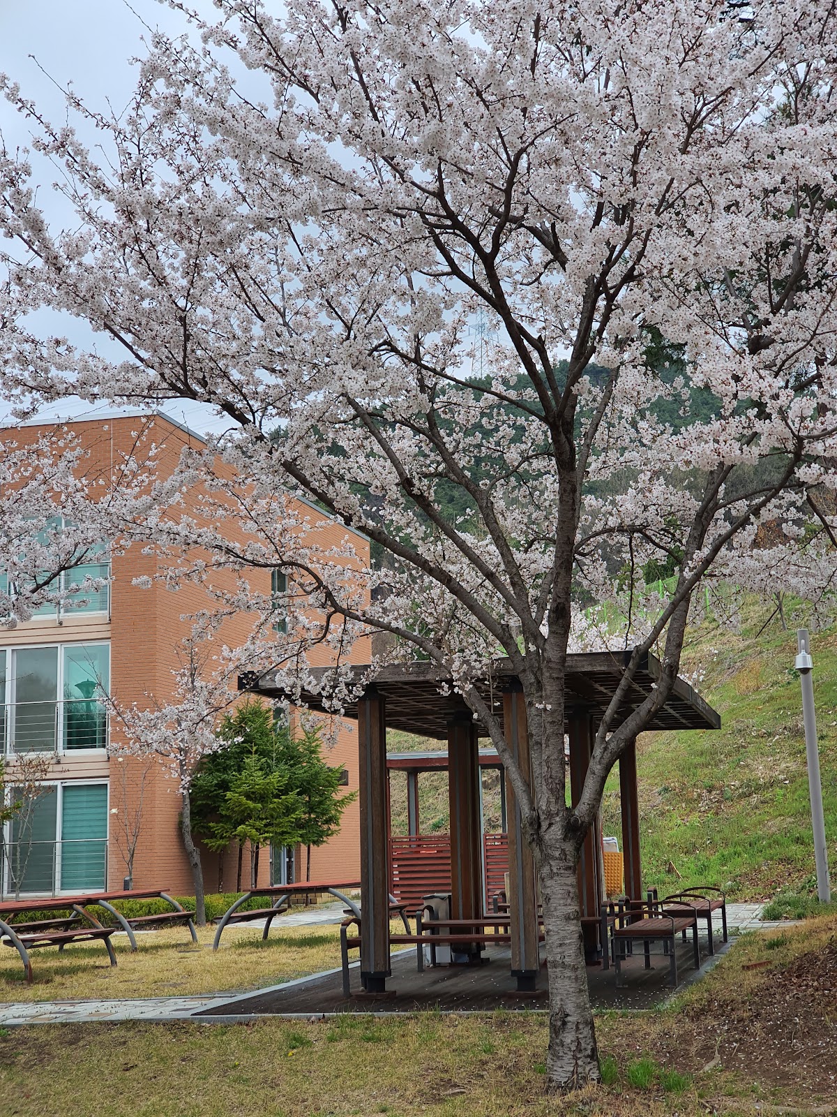 Daegu Gyeongbuk Institute of Science and Technology (DGIST) photo 9