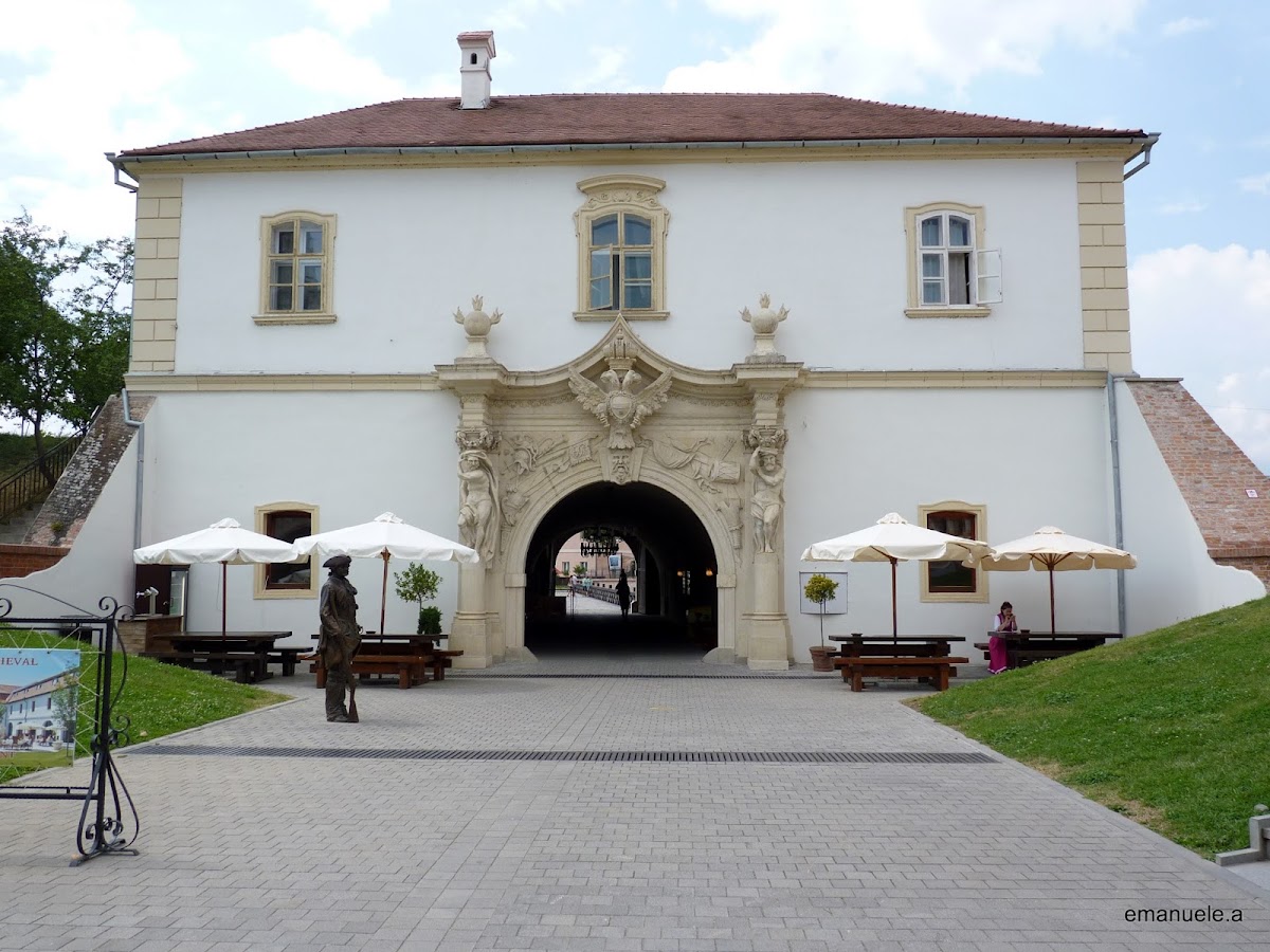 1 December 1918 University of Alba Iulia photo 3