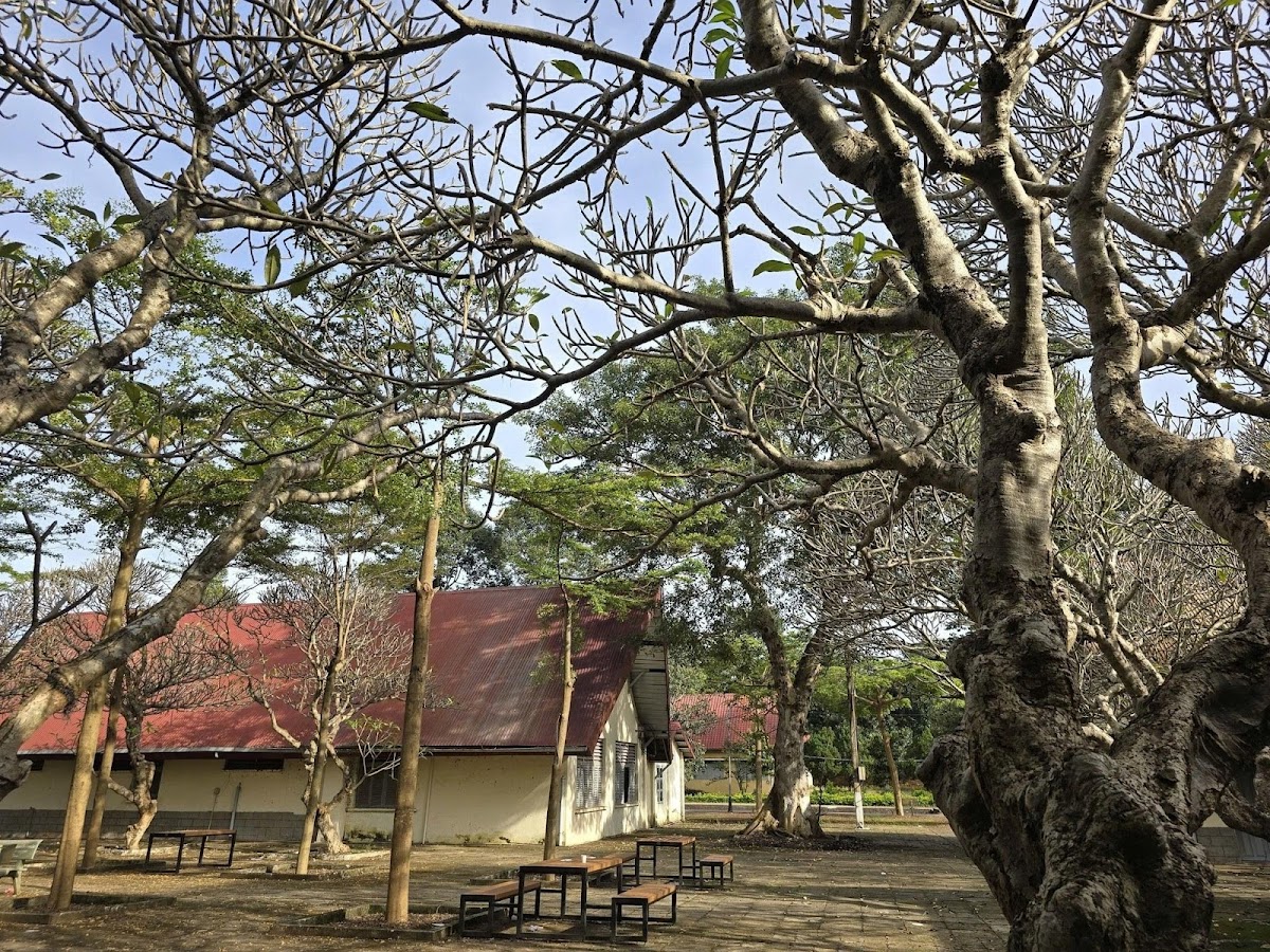 Tay Nguyen University photo 7