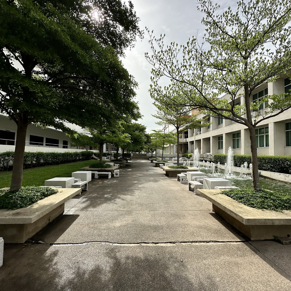 King Mongkut's Institute of Technology Ladkrabang photo 7