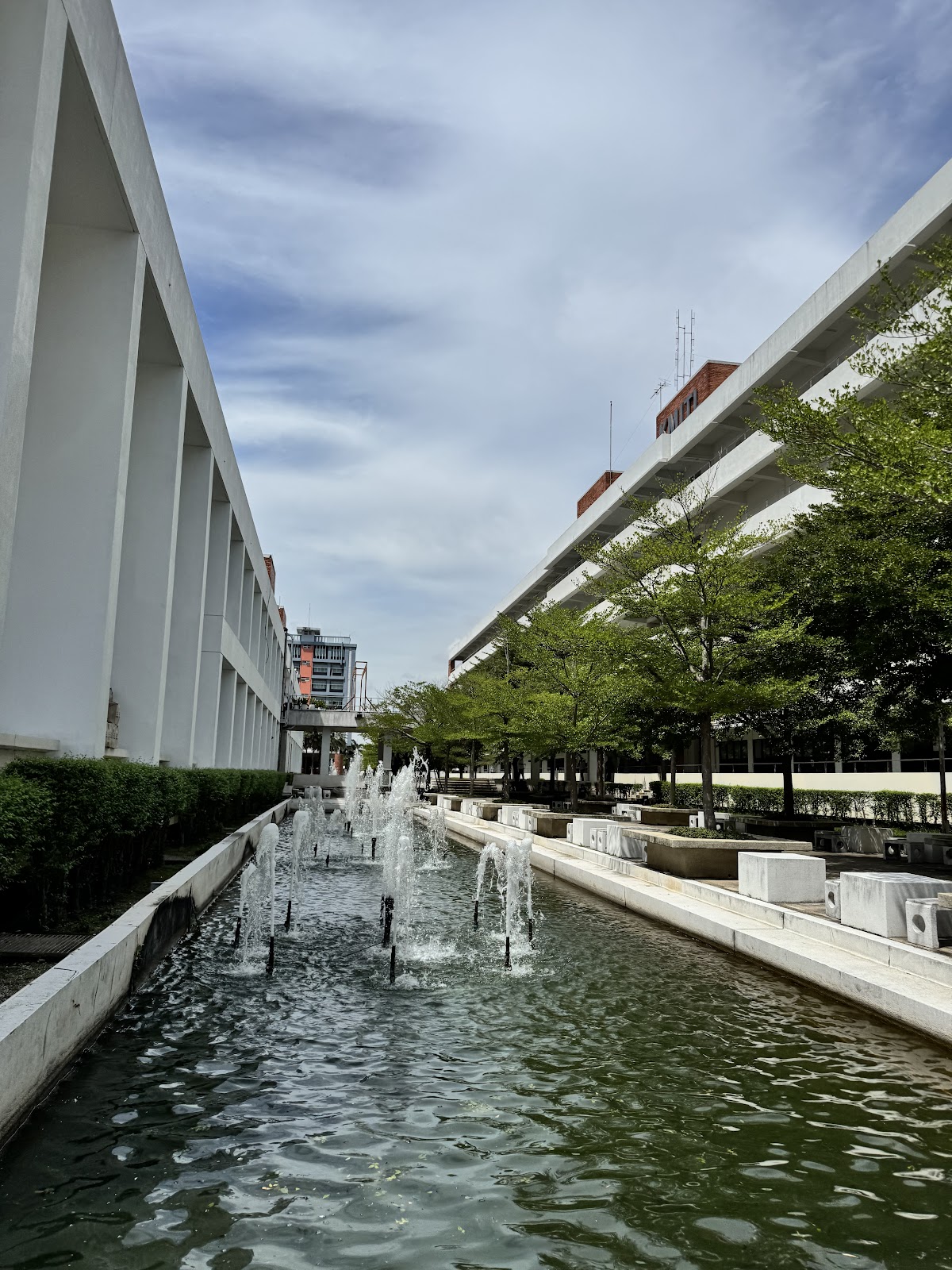 King Mongkut's Institute of Technology Ladkrabang photo 8