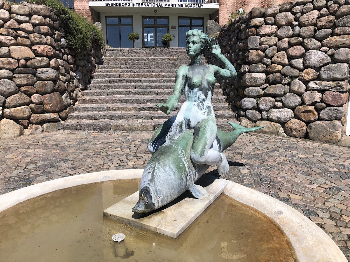 Maritime Academy Denmark photo 4