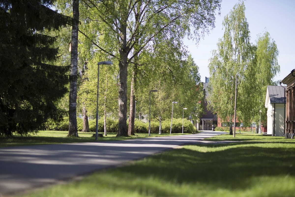 South-Eastern Finland University of Applied Sciences - XAMK photo 3