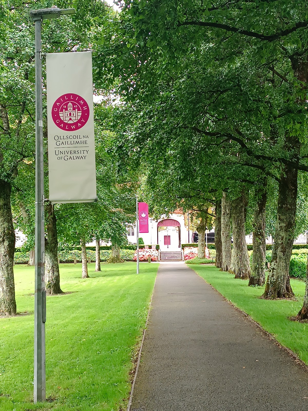 National University of Ireland, Galway photo 9