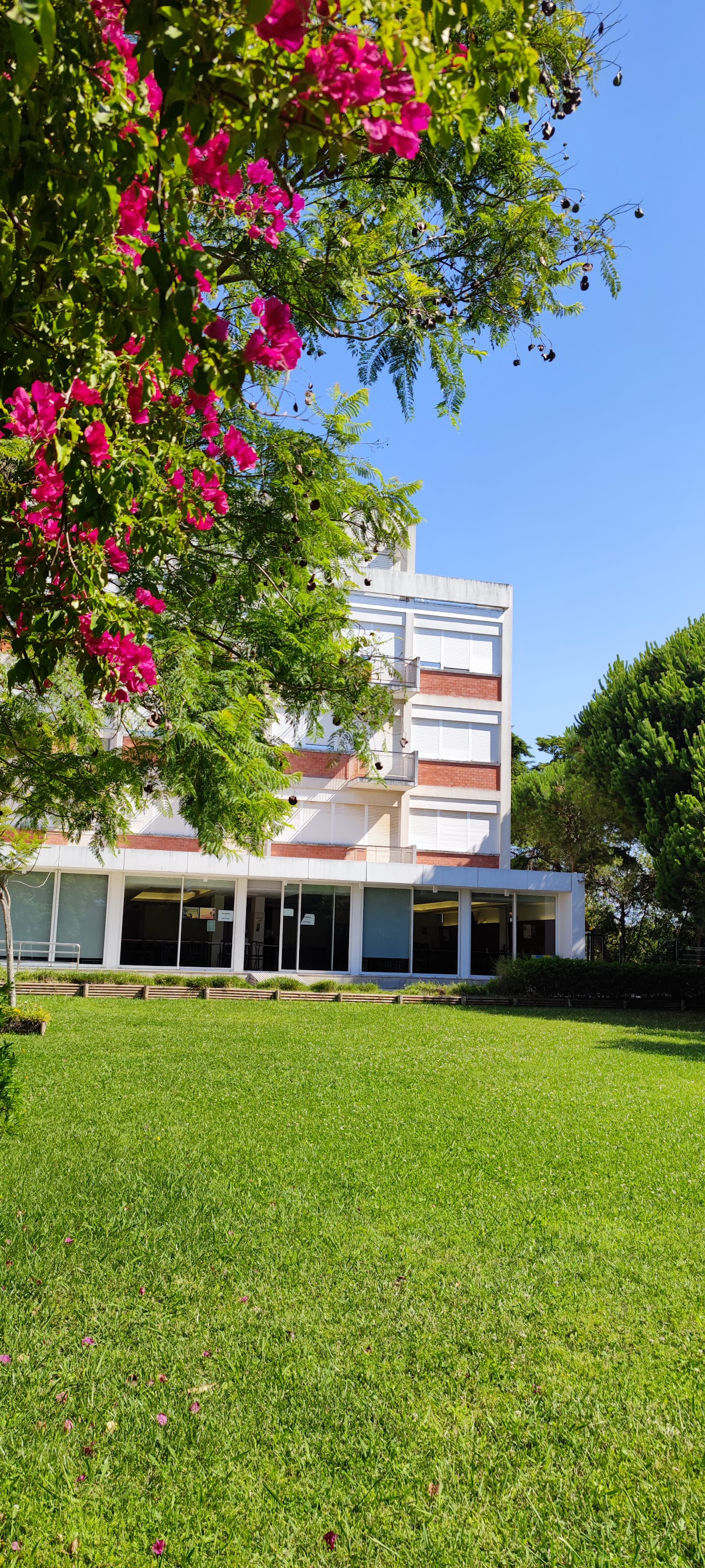 Escola Superior de Saúde do Alcoitão photo 9