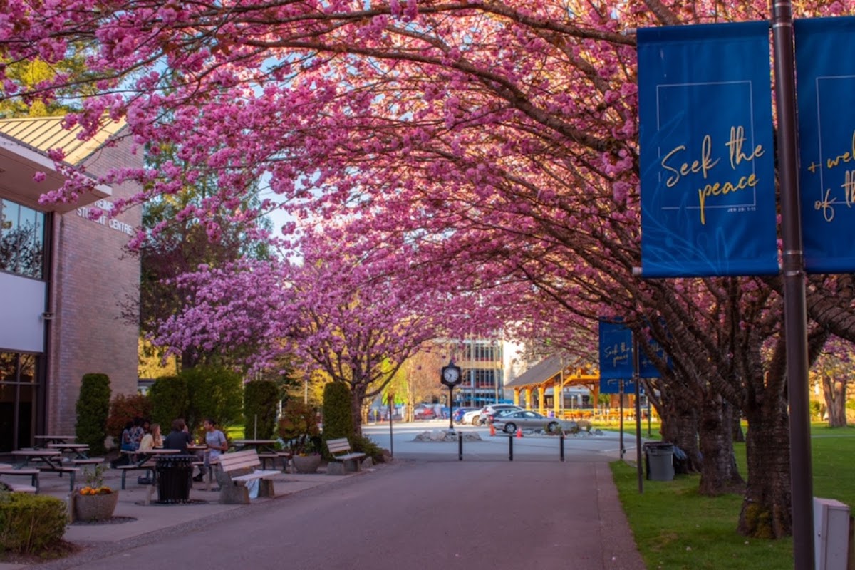 Trinity Western University photo 3