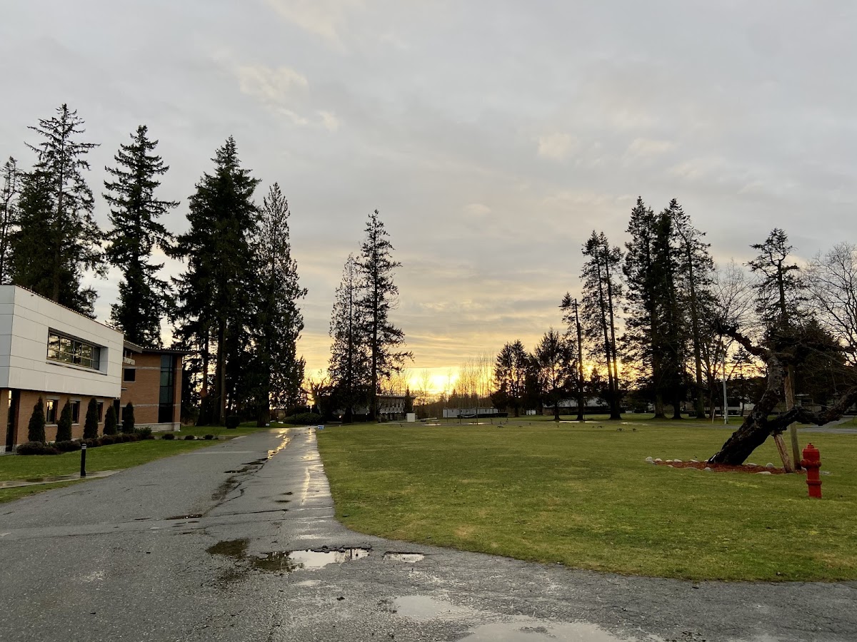 Trinity Western University photo 8