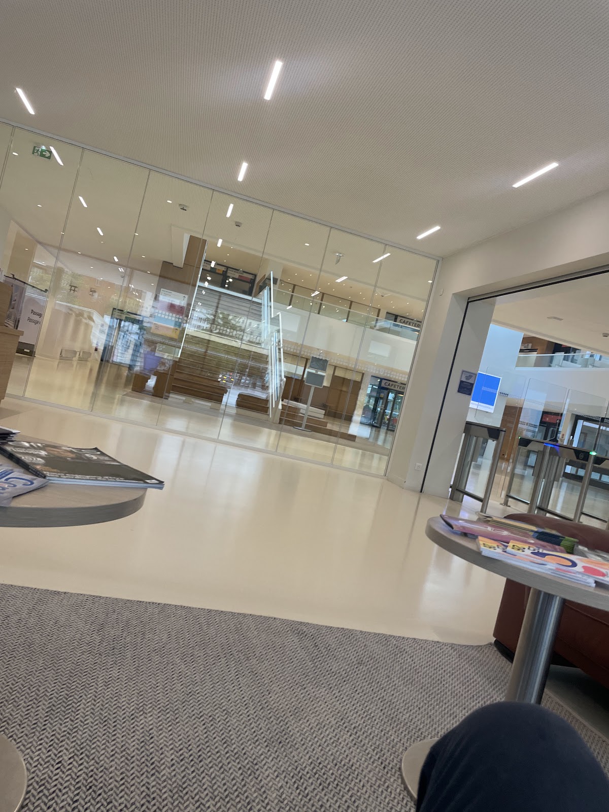 ESSEC Business School photo 9