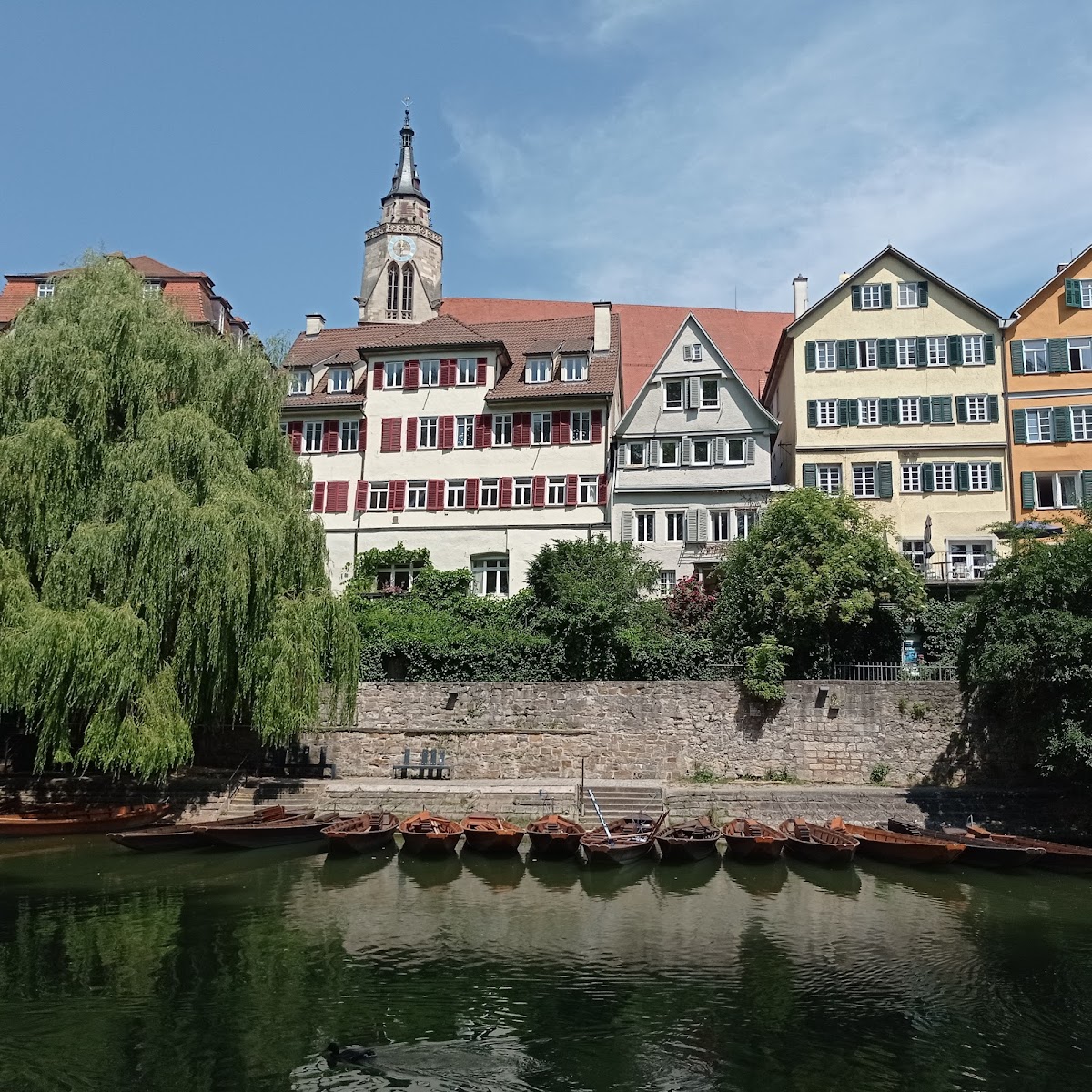 University of Tübingen photo 7