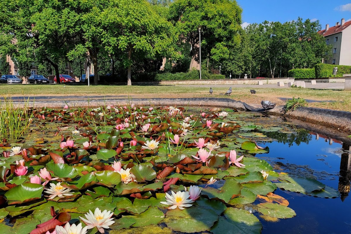 Dunaújváros University photo 3