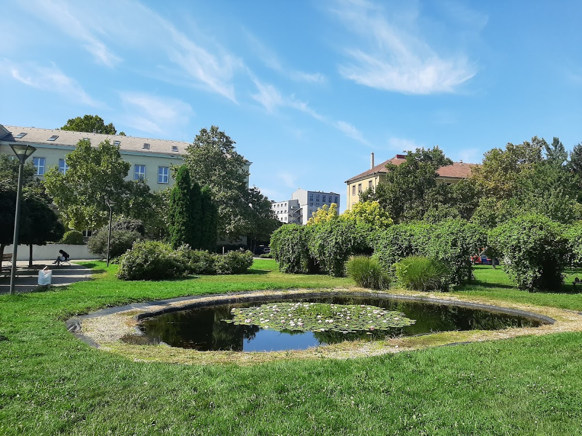 Dunaújváros University photo 6