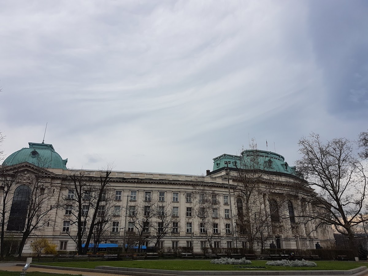 National Academy of Arts photo 5