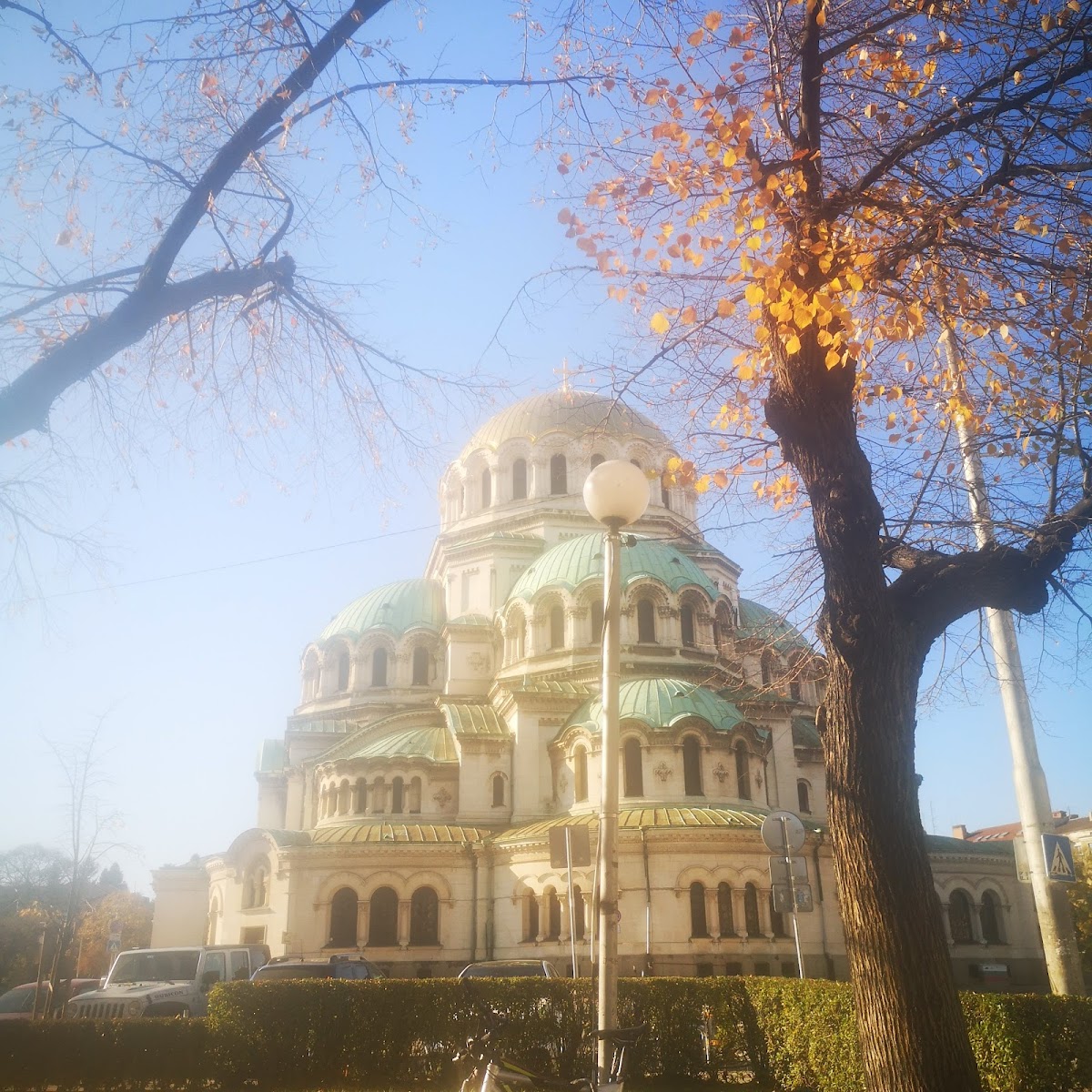 National Academy of Arts photo 8