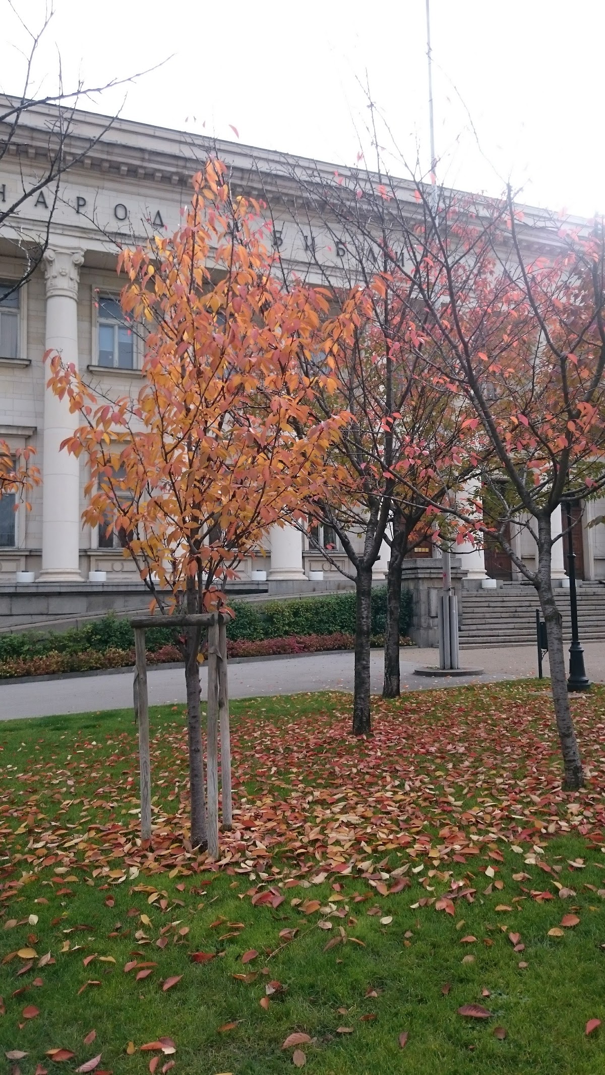 National Academy of Arts photo 9