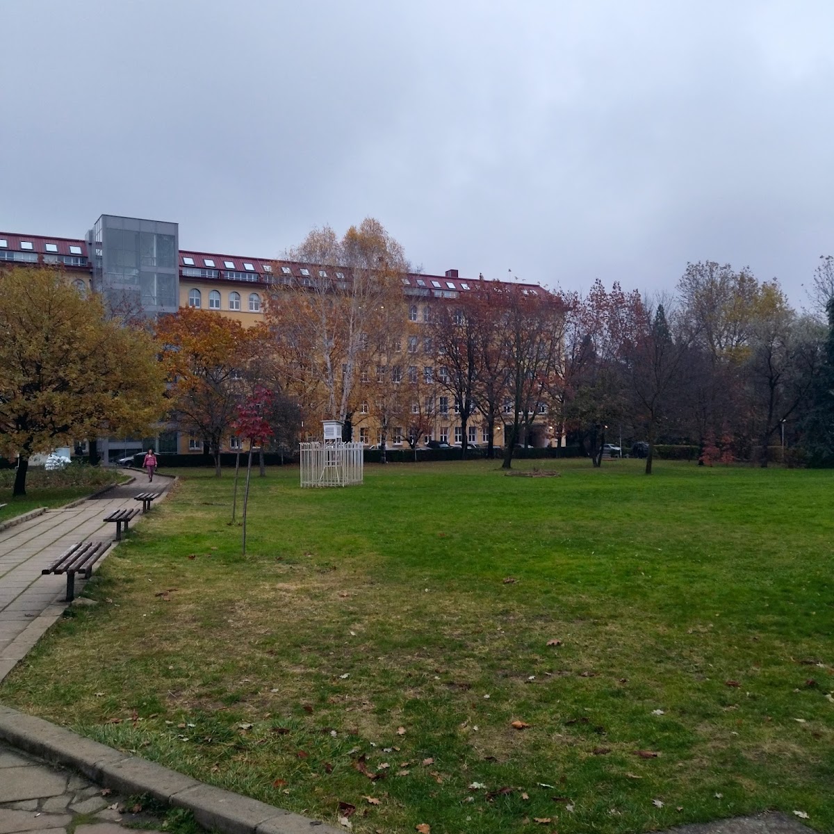 University of Forestry photo 8